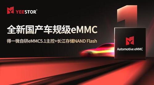 CFMS2024 存储走向中央，得一微与晶科微电子持续开拓新篇章