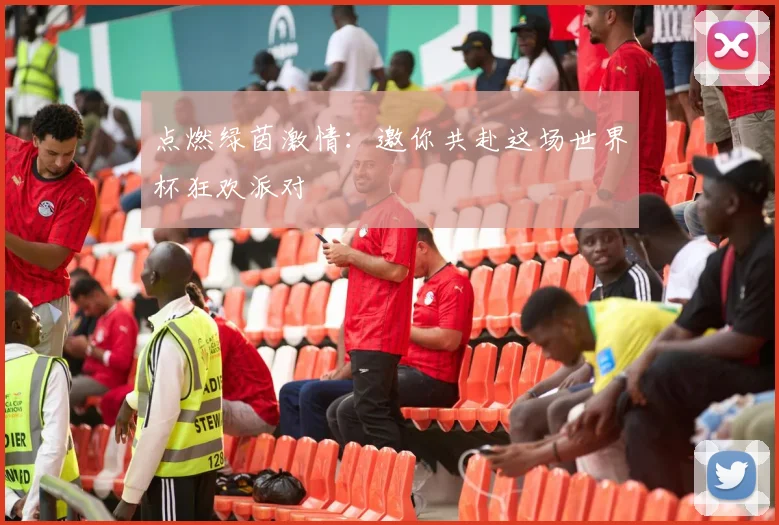 点燃绿茵激情：邀你共赴这场世界杯狂欢派对