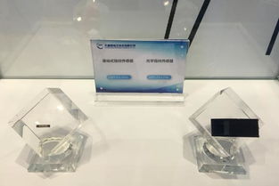 大唐微电子与晶科微电子携手亮相第二届生物识别博览会，展现科技创新实力